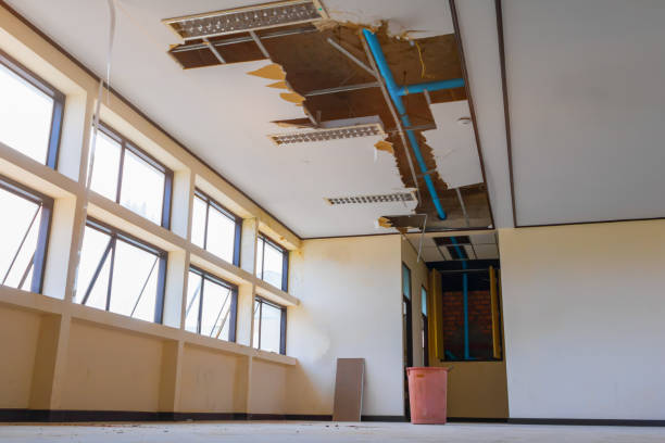 Best Flood damage cleanup  in Keewatin, MN