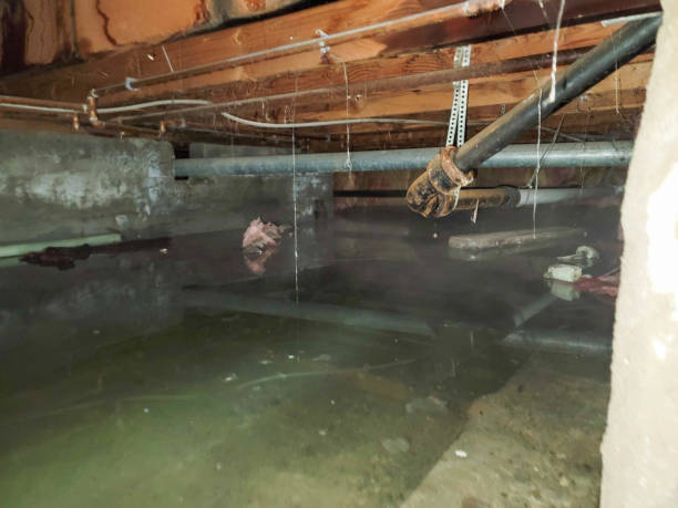  Keewatin, MN Water damage restoration Pros