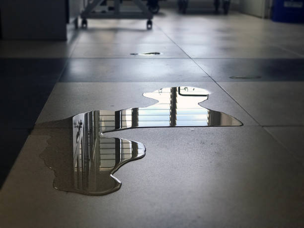 Best Commercial water damage restoration  in Keewatin, MN