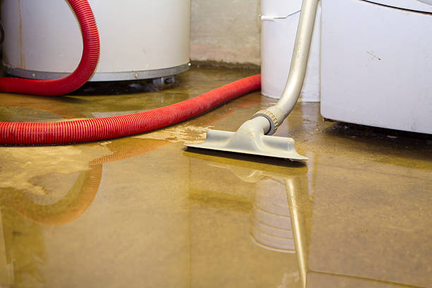 Water damage restoration mold remediation in Keewatin, MN