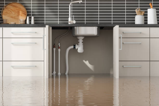 Best Residential water damage restoration  in Keewatin, MN